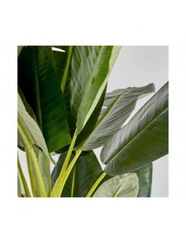 Planta Bananero Poliéster 32x32x220 Estilo Shabby Chic - 3