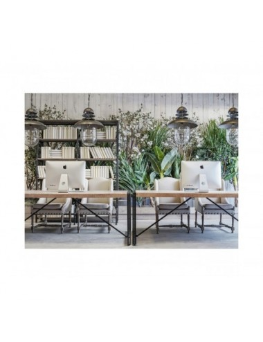 Planta Bananero Poliéster 32x32x220 Estilo Shabby Chic - 5