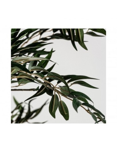 Planta Helecho Poliéster 55x50x210 Estilo Shabby Chic - 4