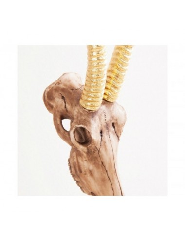 Figura Decorativa Cabra Resina 23x16x88 Estilo Nórdico - 3