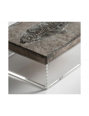 Caja Resina 25x17,5x9 Estilo Vintage - 4