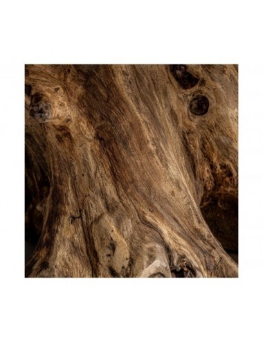 Mesa De Centro Ahras Madera Suar 173x118x50 Estilo Étnico - 4