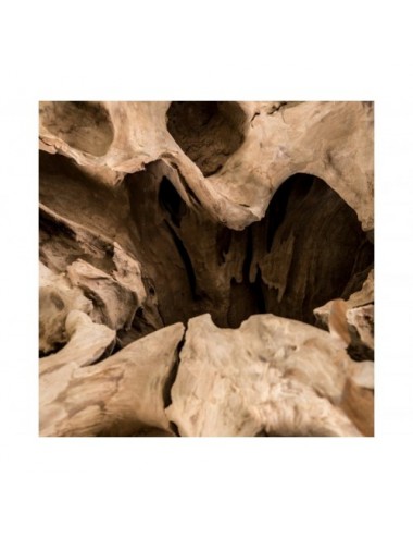 Mesa De Centro Waary Raíz Teka 133x88x47 140x90x1 Estilo Étnico - 1