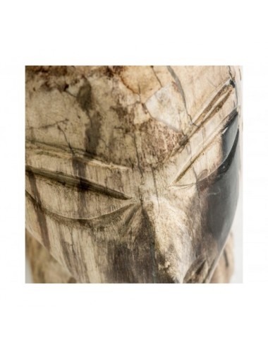 Busto Belle Madera Petrificada 20x16x24 Estilo Étnico - 4