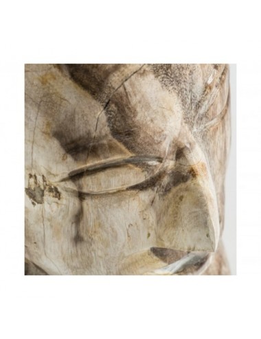 Busto Robin Madera Petrificada 17x12x22 Estilo Étnico - 4