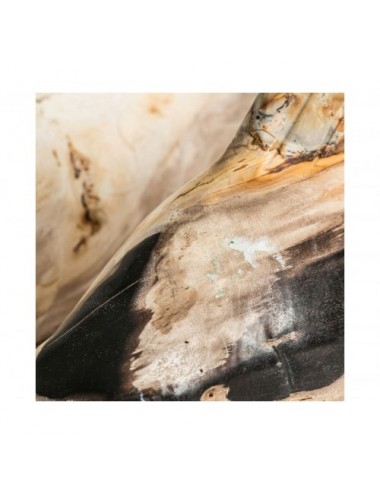 Figura Decorativa Pez Madera Petrificada 50x14x22 Estilo Nórdico - 3