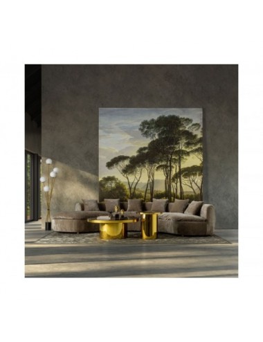 Alfombra Anxela Viscosa 340x240x1 Estilo Clásico - 9