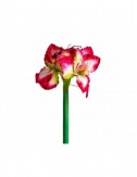 Flor Amaryllis Plástico 0x0x73 Estilo Clásico - 1