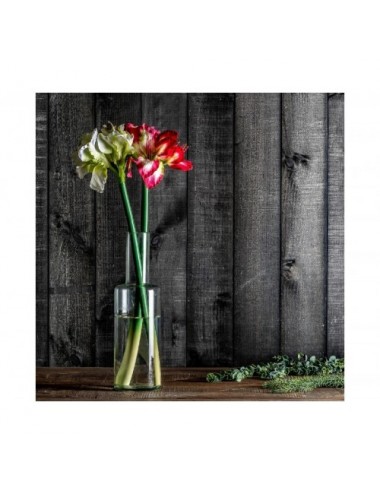 Flor Amaryllis Plástico 0x0x73 Estilo Clásico - 4