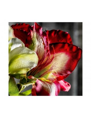 Flor Amaryllis Plástico 0x0x73 Estilo Clásico - 5