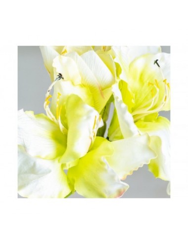 Flor Amaryllis Plástico 0x0x73 Estilo Clásico - 3