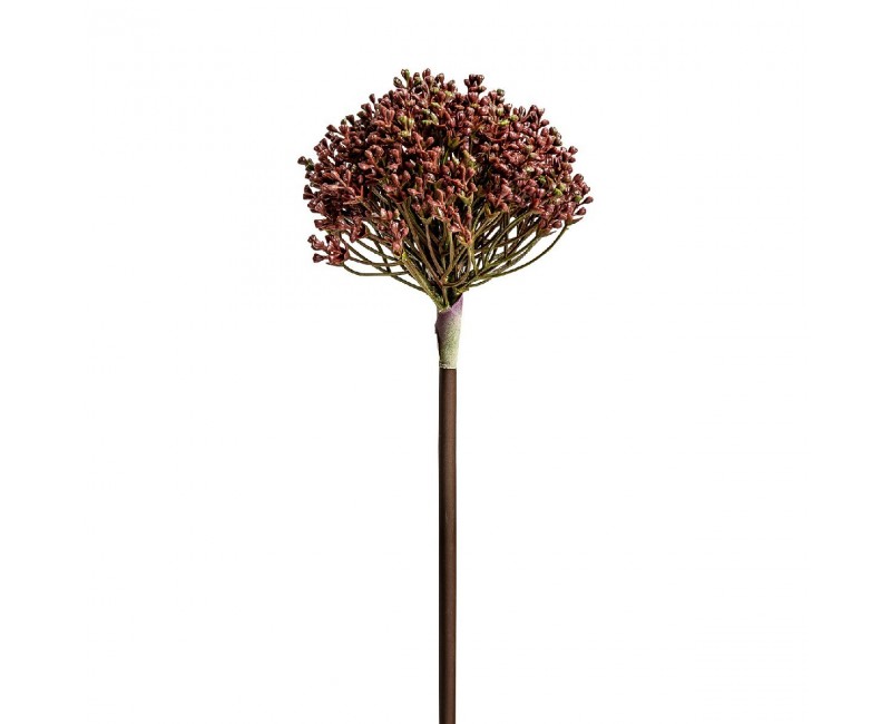 Planta Allium Plástico 0x0x57 Estilo Clásico - 1