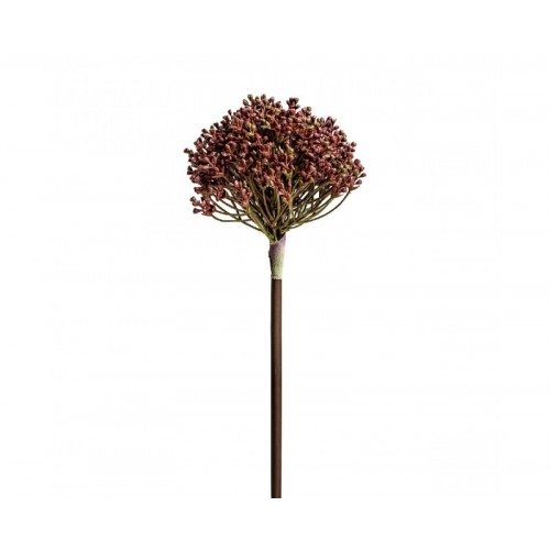 Planta Allium Plástico 0x0x57 Estilo Clásico - 1
