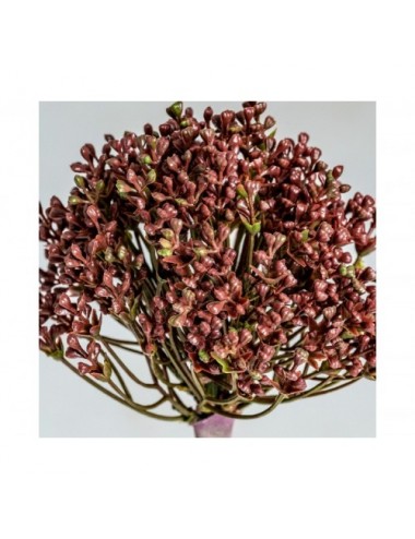 Planta Allium Plástico 0x0x57 Estilo Clásico - 3