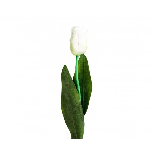 Flor Tulipan Plástico 0x0x64 Estilo Clásico - 1