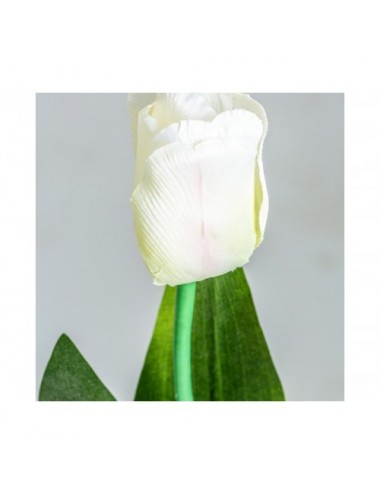 Flor Tulipan Plástico 0x0x64 Estilo Clásico - 3