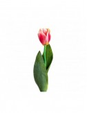 Flor Tulipan Plástico 0x0x64 Estilo Clásico - 1