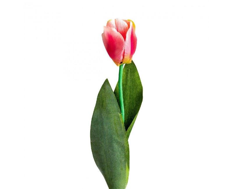 Flor Tulipan Plástico 0x0x64 Estilo Clásico - 1