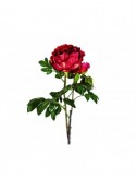 Flor Peonia Plástico 0x0x97,5 Estilo Clásico - 1