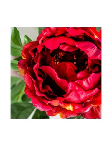 Flor Peonia Plástico 0x0x97,5 Estilo Clásico - 3
