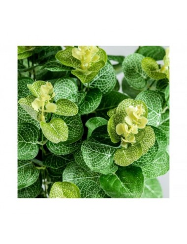 Planta Eucalipto Plástico 52x40x48 Estilo Clásico - 3