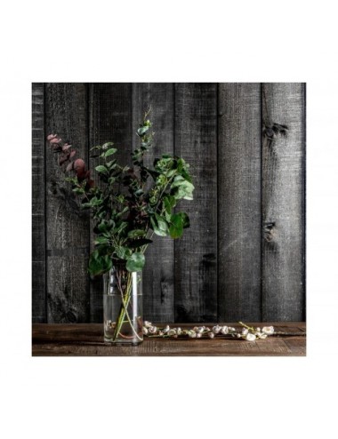 Planta Eucalipto Plástico 52x40x48 Estilo Clásico - 4