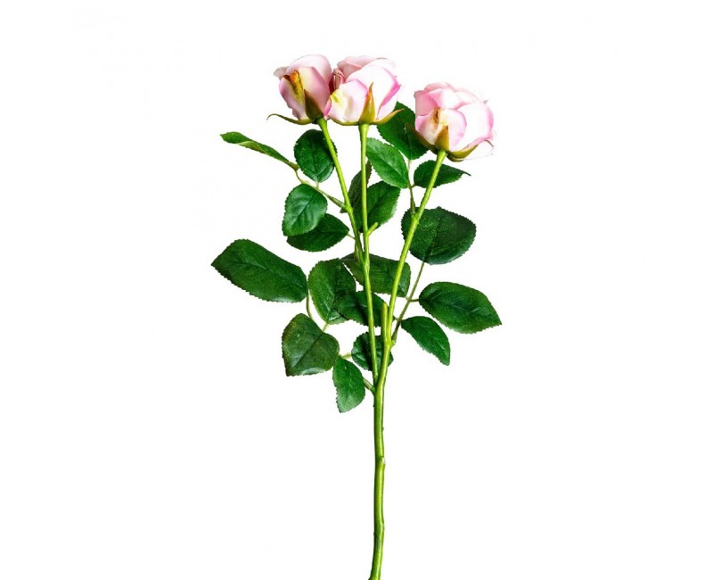 Planta Rosal Plástico 1x1x48 Estilo Clásico - 1