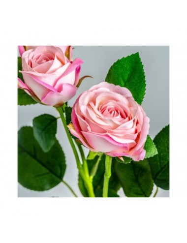 Planta Rosal Plástico 1x1x48 Estilo Clásico - 3