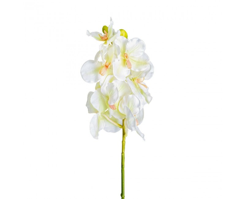 Flor Azahar Plástico 1x1x76 Estilo Clásico - 1