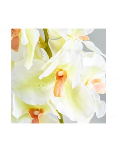 Flor Azahar Plástico 1x1x76 Estilo Clásico - 3