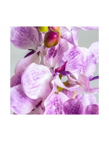 Flor Orquídea Plástico 0x0x76 Estilo Clásico - 3