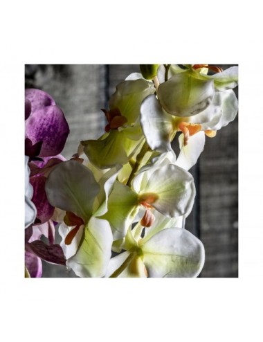 Flor Orquídea Plástico 0x0x76 Estilo Clásico - 5
