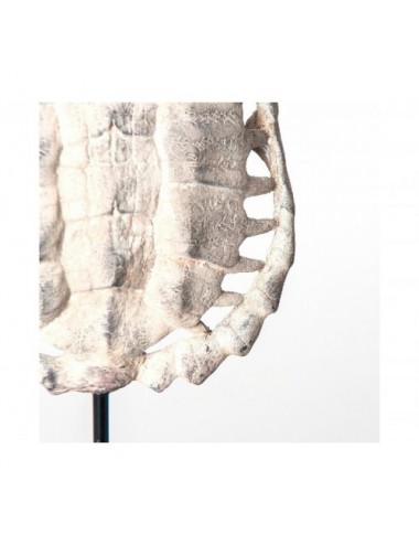 Escultura Caparazón Tortuga Resina 21x10x30 Estilo Nórdico - 1