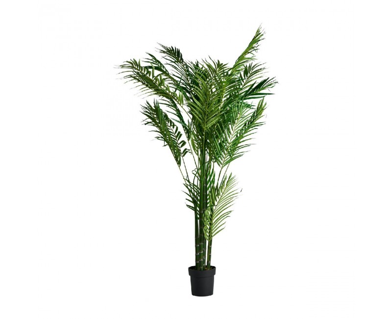 Planta Palmera Poliéster 40x50x210 Estilo Colonial - 1