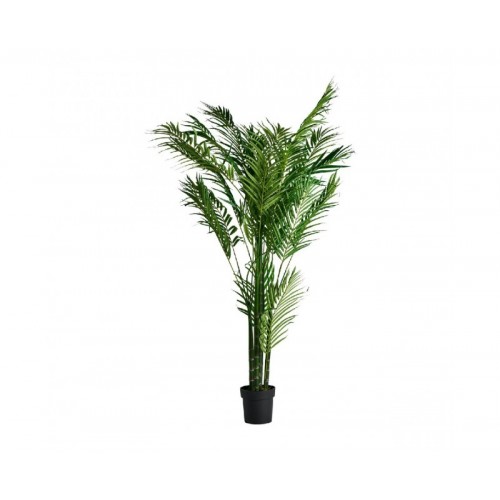 Planta Palmera Poliéster 40x50x210 Estilo Colonial - 1