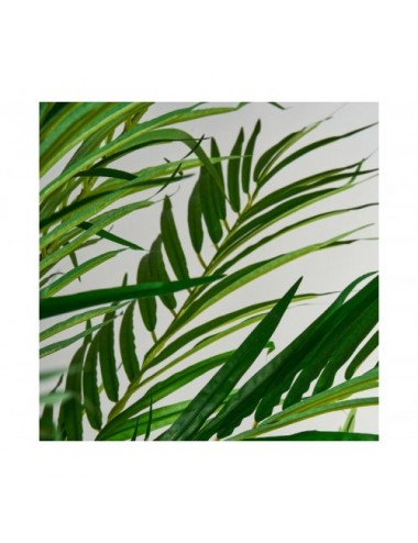 Planta Palmera Poliéster 40x50x210 Estilo Colonial - 3
