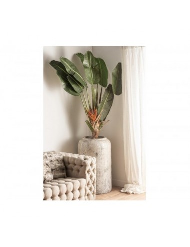 Planta Paradise Poliéster 60x35x190 Estilo Colonial - 5