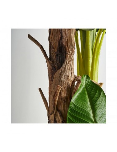 Planta Platanero Poliéster 50x60x245 Estilo Colonial - 4