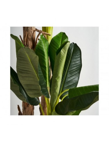 Planta Platanero Poliéster 50x60x245 Estilo Colonial - 5