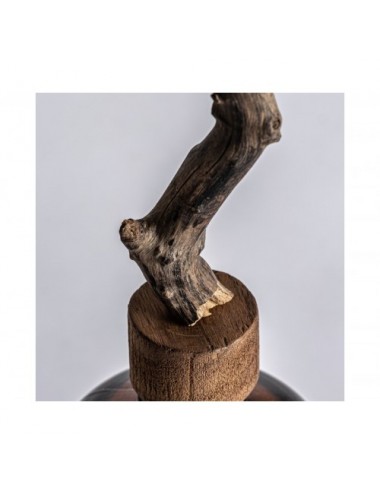 Botella Decorativa Tronco Vidrio 14x14x54 Estilo Étnico - 1