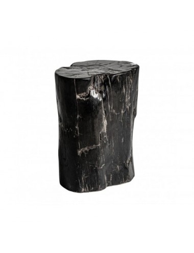 Mesa Auxiliar Telti Madera Petrificada 30x26x38 Estilo Étnico - 1