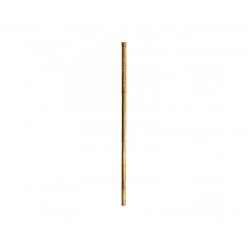 Caña Decorativa Bambú 5x5x250 Estilo Étnico - 1