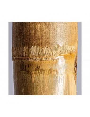 Caña Decorativa Bambú 5x5x250 Estilo Étnico - 3