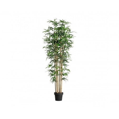 Planta Bambú Poliéster 40x40x190 Estilo Colonial - 1