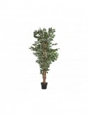 Planta Ficus Poliéster 60x60x180 Estilo Colonial - 1