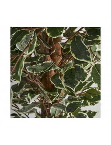 Planta Ficus Poliéster 60x60x180 Estilo Colonial - 1
