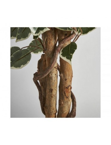 Planta Ficus Poliéster 60x60x180 Estilo Colonial - 4