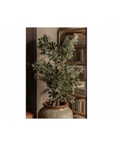 Planta Ficus Poliéster 60x60x180 Estilo Colonial - 6