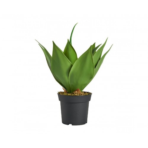 Planta Lotus Poliéster 26x26x45 Estilo Colonial - 1