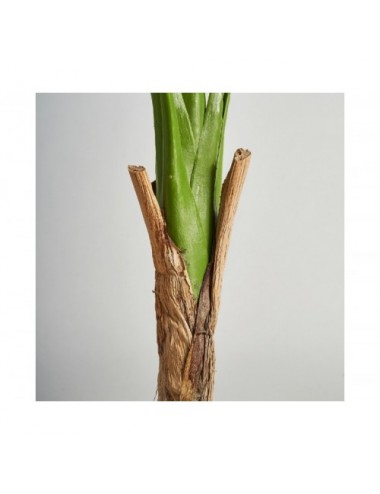 Planta Monstera Poliéster 44x44x128 Estilo Colonial - 3